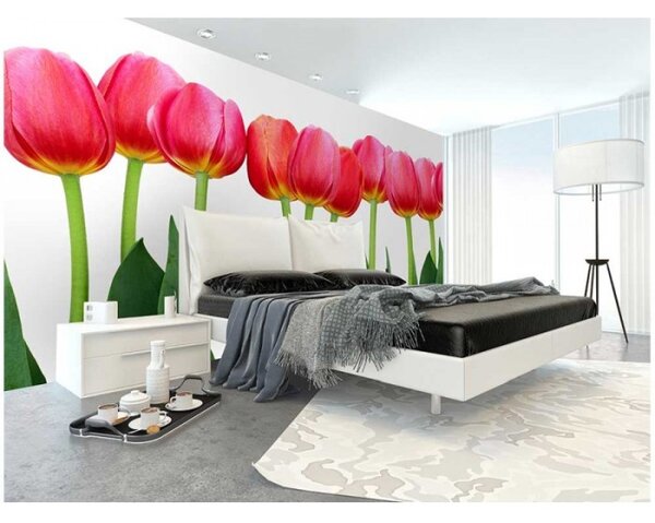DIMEX | Vliesové fototapety na stenu Tulipány MS-5-0126 | 375 x 250 cm | zelená, červená, biela