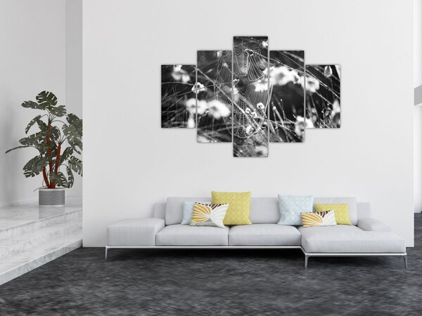 Obraz - Pavučina na lúke (150x105 cm)