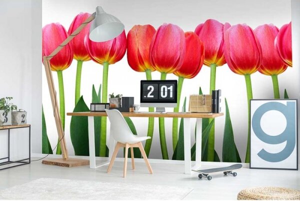 DIMEX | Vliesové fototapety na stenu Tulipány MS-5-0126 | 375 x 250 cm | zelená, červená, biela
