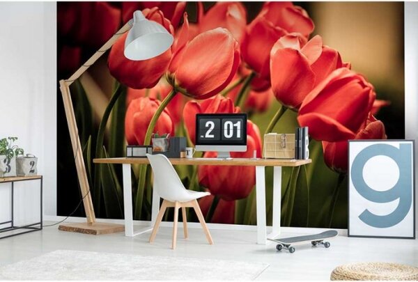 DIMEX | Vliesové fototapety na stenu Červené tulipány MS-5-0128 | 375 x 250 cm | červená, zelená