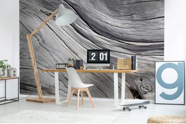 DIMEX | Vliesové fototapety na stenu Štruktúra stromu MS-5-0160 | 375 x 250 cm | šedá