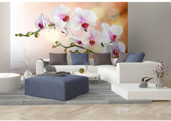 DIMEX | Vliesové fototapety na stenu Biela orchidea MS-5-0147 | 375 x 250 cm | biela, zelená, ružová, oranžová