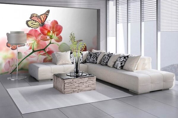 DIMEX | Vliesové fototapety na stenu Motýle a orchidey MS-5-0146 | 375 x 250 cm | biela, viacfarebná