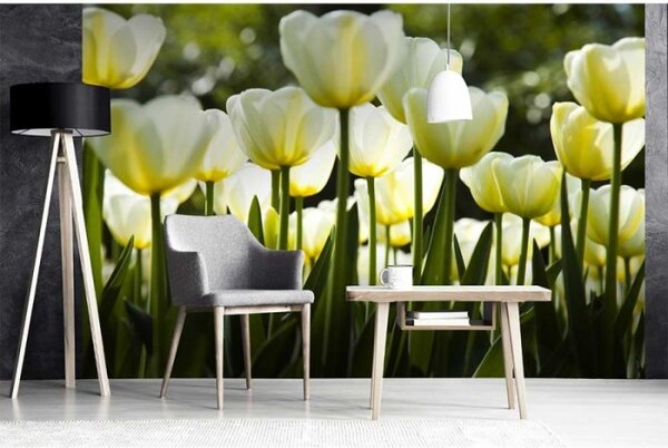 DIMEX | Vliesové fototapety na stenu Biele tulipány MS-5-0127 | 375 x 250 cm | žltá, zelená, biela