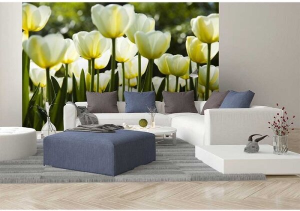 DIMEX | Vliesové fototapety na stenu Biele tulipány MS-5-0127 | 375 x 250 cm | žltá, zelená, biela