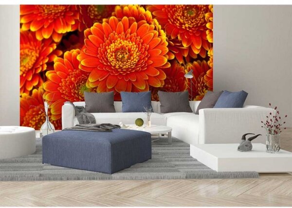 DIMEX | Vliesové fototapety na stenu Gerbera MS-5-0131 | 375 x 250 cm | červená, žltá