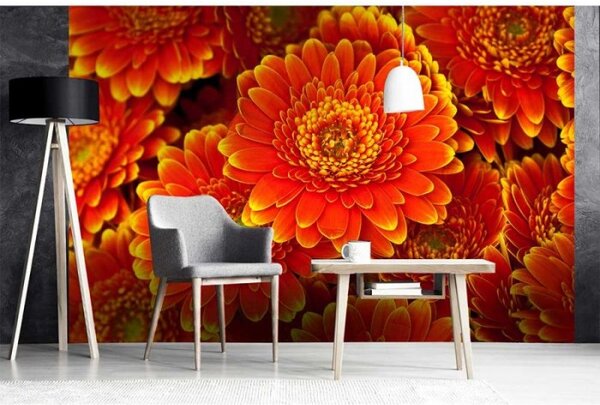 DIMEX | Vliesové fototapety na stenu Gerbera MS-5-0131 | 375 x 250 cm | červená, žltá