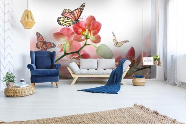 DIMEX | Vliesové fototapety na stenu Motýle a orchidey MS-5-0146 | 375 x 250 cm | biela, viacfarebná