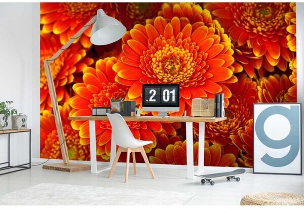 DIMEX | Vliesové fototapety na stenu Gerbera MS-5-0131 | 375 x 250 cm | červená, žltá