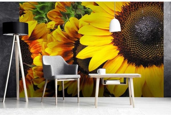 DIMEX | Vliesové fototapety na stenu Slnečnica MS-5-0130 | 375 x 250 cm | žltá, hnedá, zelená