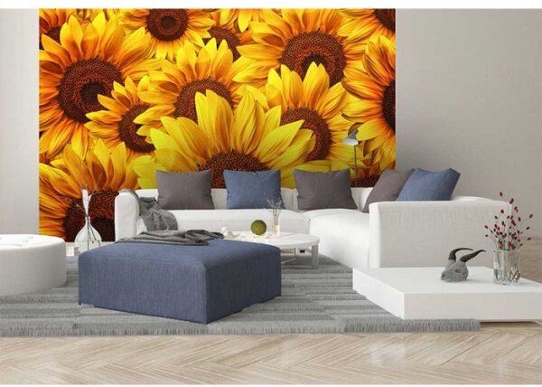 DIMEX | Vliesové fototapety na stenu Lán slnečníc MS-5-0129 | 375 x 250 cm | žltá, hnedá