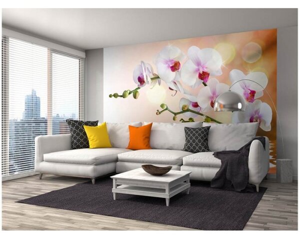 DIMEX | Vliesové fototapety na stenu Biela orchidea MS-5-0147 | 375 x 250 cm | biela, zelená, ružová, oranžová