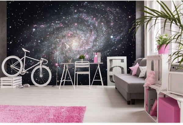 DIMEX | Vliesové fototapety na stenu Galaxia MS-5-0189 | 375 x 250 cm | čierna, šedá, ružová