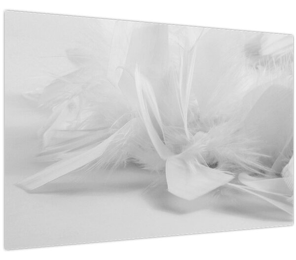 Obraz - Perie (90x60 cm)