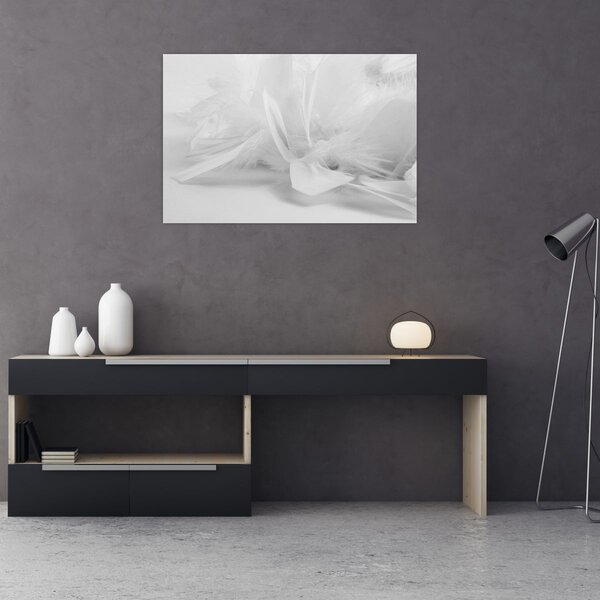 Obraz - Perie (90x60 cm)
