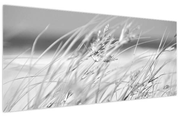Obraz - Plážová tráva (120x50 cm)