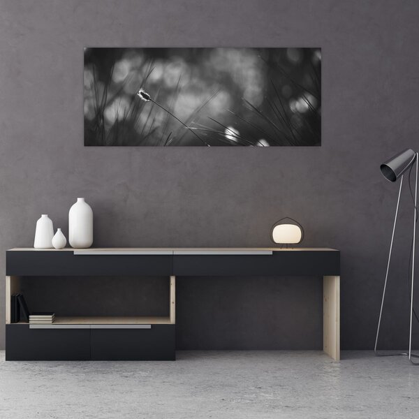 Obraz - Lúčna tráva (120x50 cm)