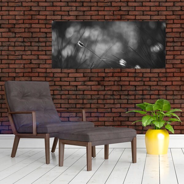 Obraz - Lúčna tráva (120x50 cm)