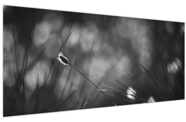 Obraz - Lúčna tráva (120x50 cm)