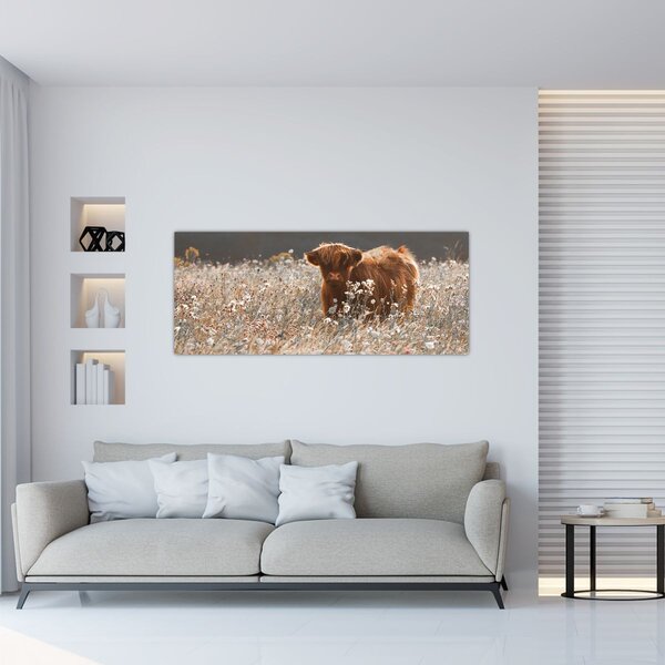 Obraz - Škótska krava v kvete (120x50 cm)