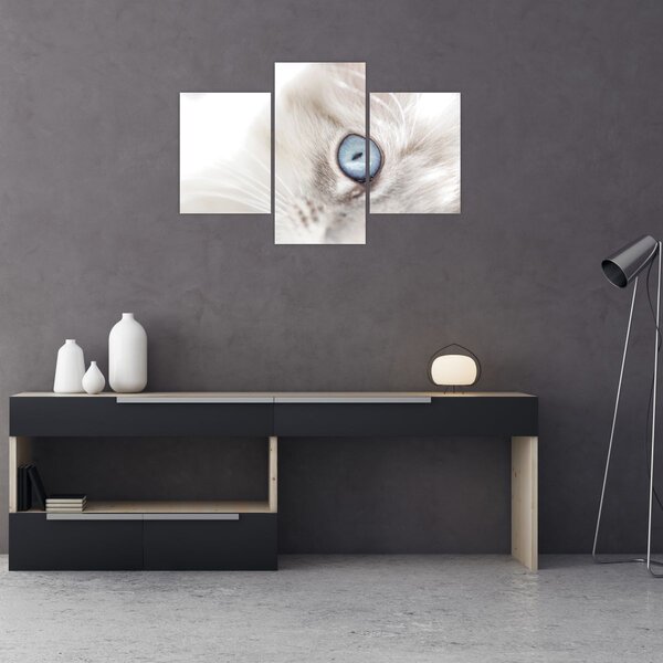 Obraz - Mačka s modrými očami (90x60 cm)