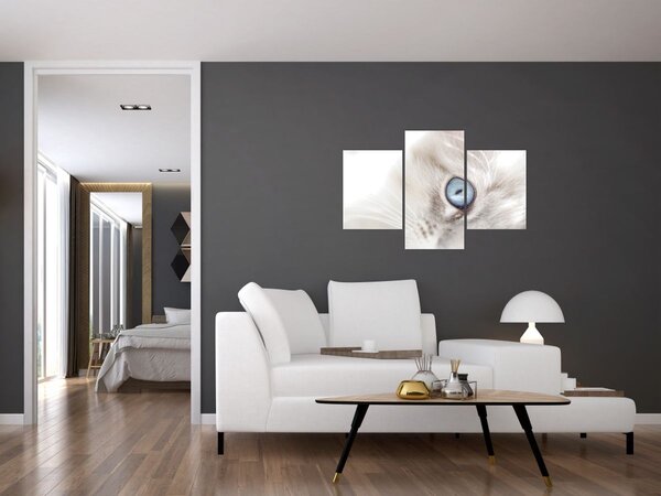 Obraz - Mačka s modrými očami (90x60 cm)