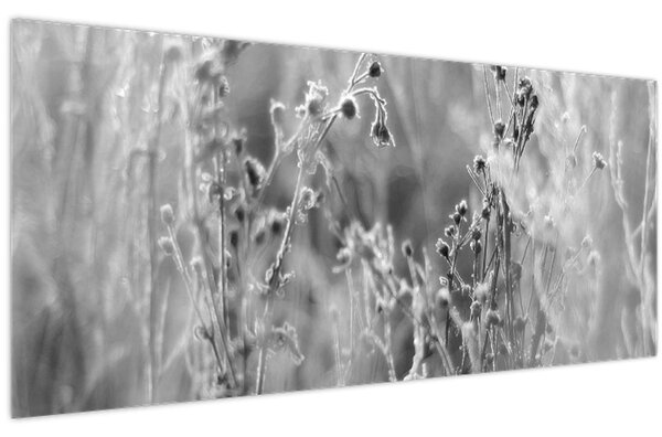 Obraz - Divoká lúka (120x50 cm)