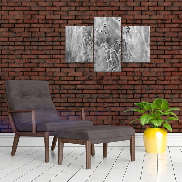 Obraz - Divoká lúka (90x60 cm)