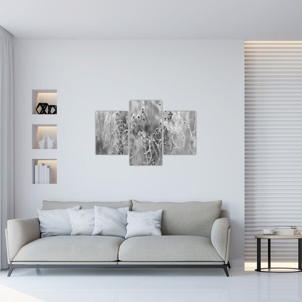 Obraz - Divoká lúka (90x60 cm)