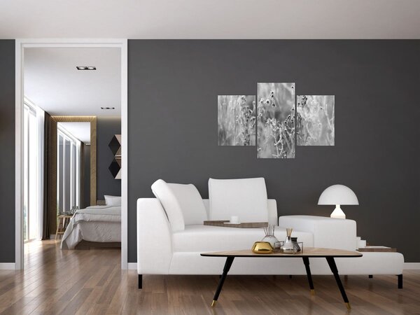 Obraz - Divoká lúka (90x60 cm)