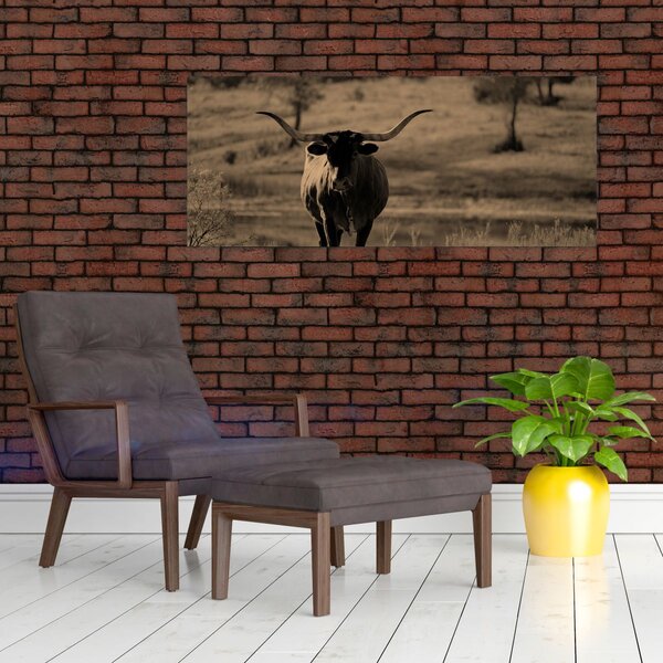 Obraz - Texaská krava (120x50 cm)