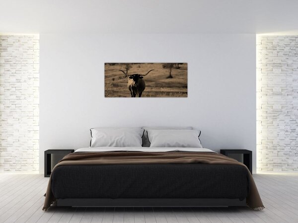 Obraz - Texaská krava (120x50 cm)
