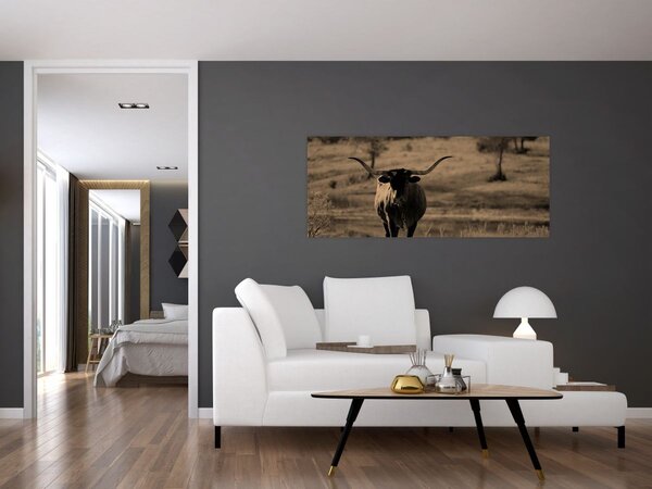 Obraz - Texaská krava (120x50 cm)