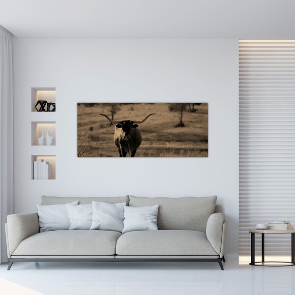 Obraz - Texaská krava (120x50 cm)