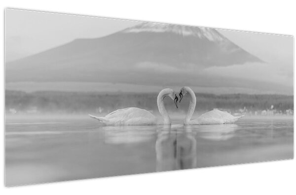 Obraz - Zamilované labute (120x50 cm)