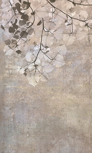 DIMEX | Vliesové fototapety na stenu Abstrakt béžovej listy MS-2-0366 | 150 x 250 cm | béžová, hnedá