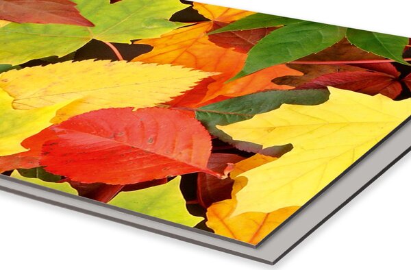 DIMEX | Dibond doska za kuchynskú linku | DBW-08060-027 Listy | 80 x 60 cm