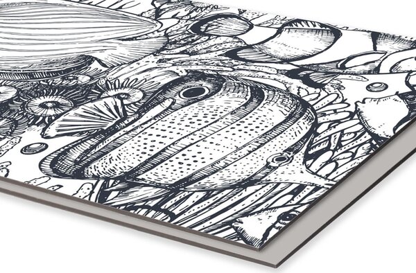 DIMEX | Dibond doska za kuchynskú linku | DBW-08060-183 Čiernobiele ryby | 80 x 60 cm