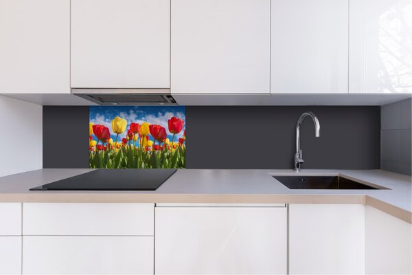DIMEX | Dibond doska za kuchynskú linku | DBW-06040-131 Pole tulipánov | 60 x 40 cm