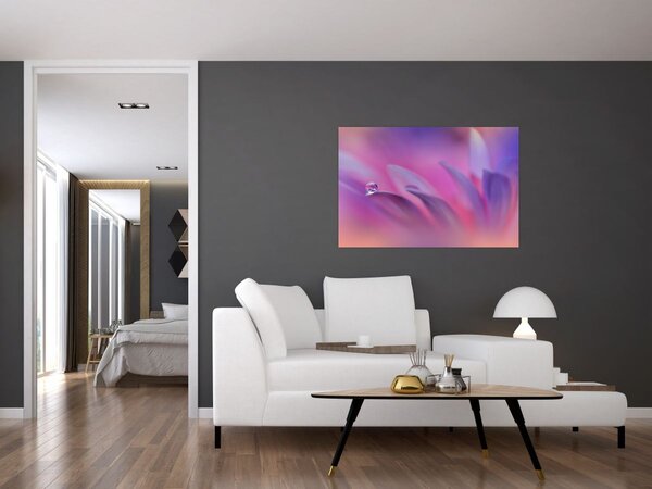 Obraz - Kvapka na kvete (90x60 cm)