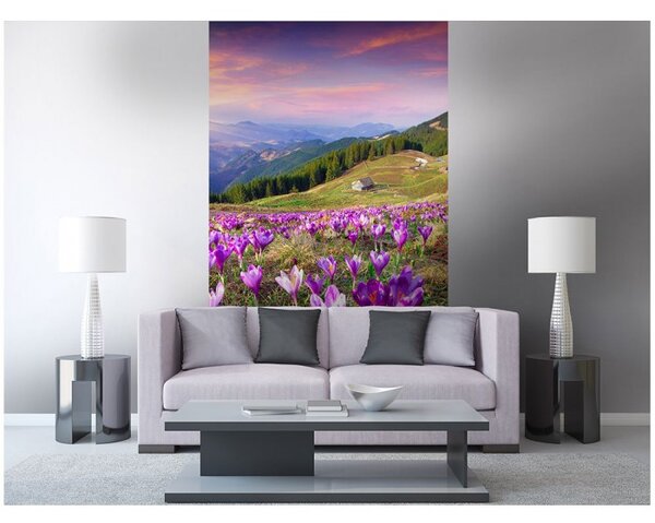 DIMEX | Vliesové fototapety na stenu Krókusy na jar MS-2-0064 | 150 x 250 cm | viacfarebná