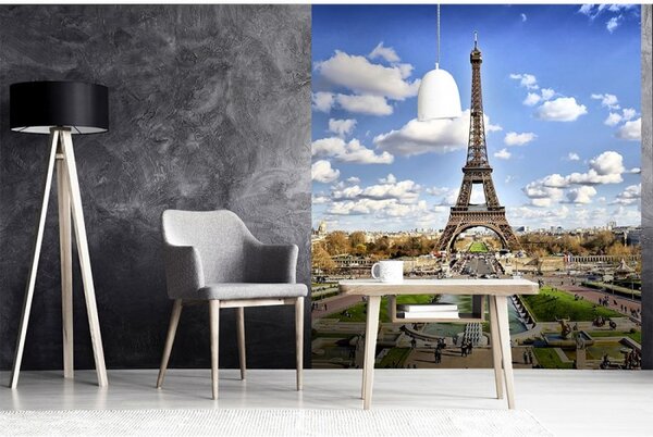 DIMEX | Vliesová fototapeta na stenu Paríž MS-3-0025 | 225 x 250 cm | modrá, šedá, biela, zelená