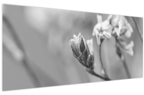 Obraz - Rozkvitnutý kvet (120x50 cm)