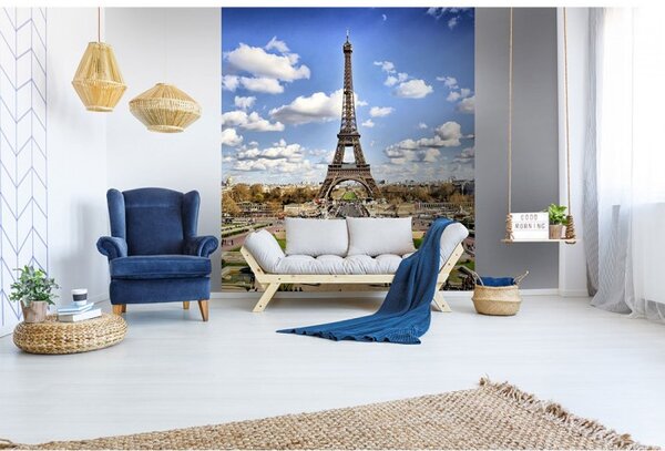 DIMEX | Vliesová fototapeta na stenu Paríž MS-3-0025 | 225 x 250 cm | modrá, šedá, biela, zelená