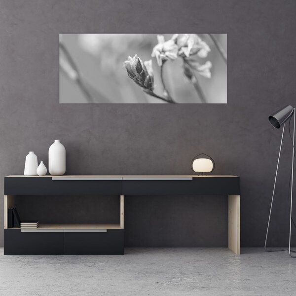 Obraz - Rozkvitnutý kvet (120x50 cm)
