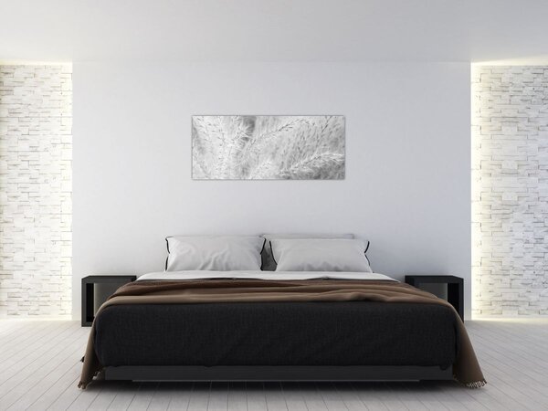 Obraz - Pampas grass N⁰1 (120x50 cm)