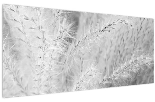 Obraz - Pampas grass N⁰1 (120x50 cm)