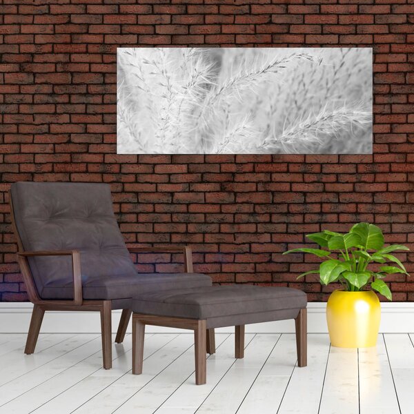 Obraz - Pampas grass N⁰1 (120x50 cm)