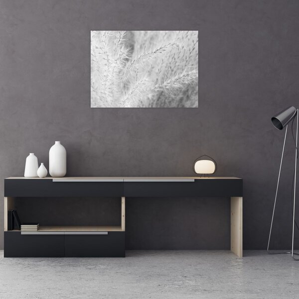 Obraz - Pampas grass N⁰1 (70x50 cm)
