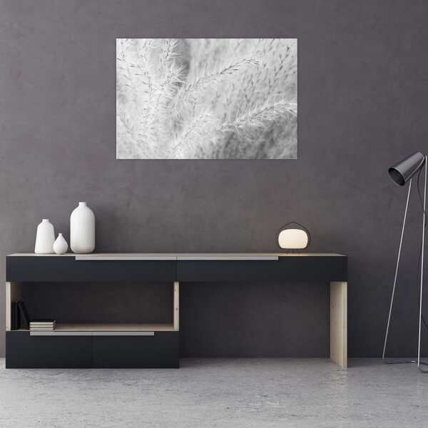 Obraz - Pampas grass N⁰1 (90x60 cm)